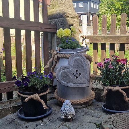 Haus Emma, Im Herzen Der Oberlausitz Kottmar Екстериор снимка
